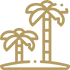 032-palm-tree-1